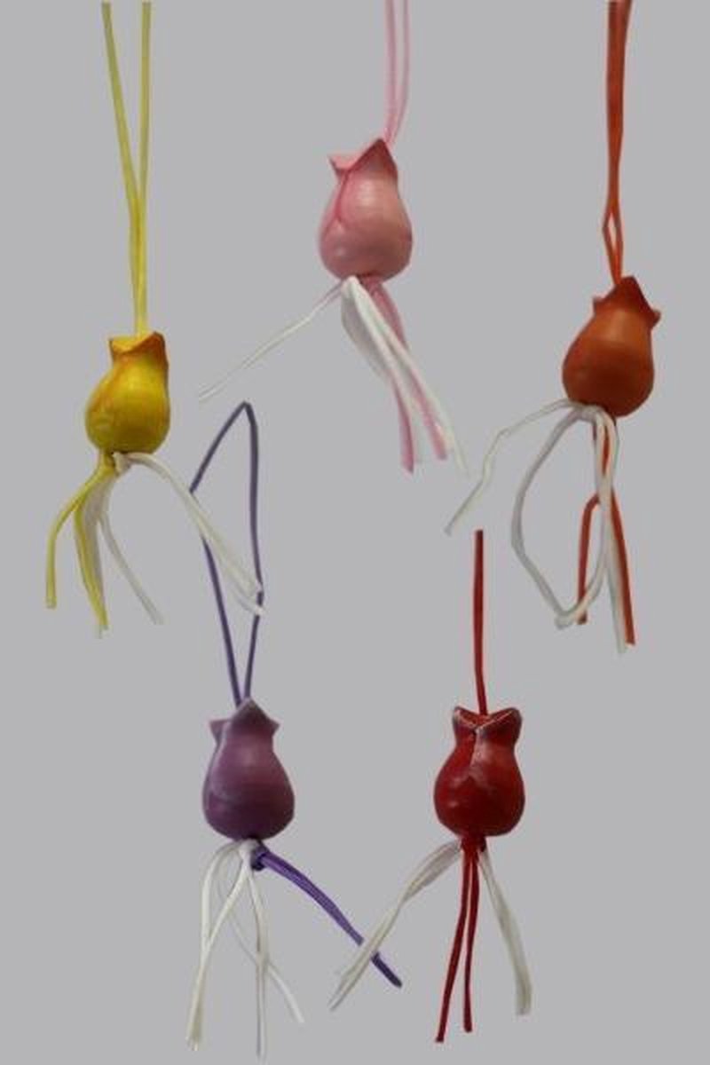 10x houten gelukstulp | gelukspoppetjes